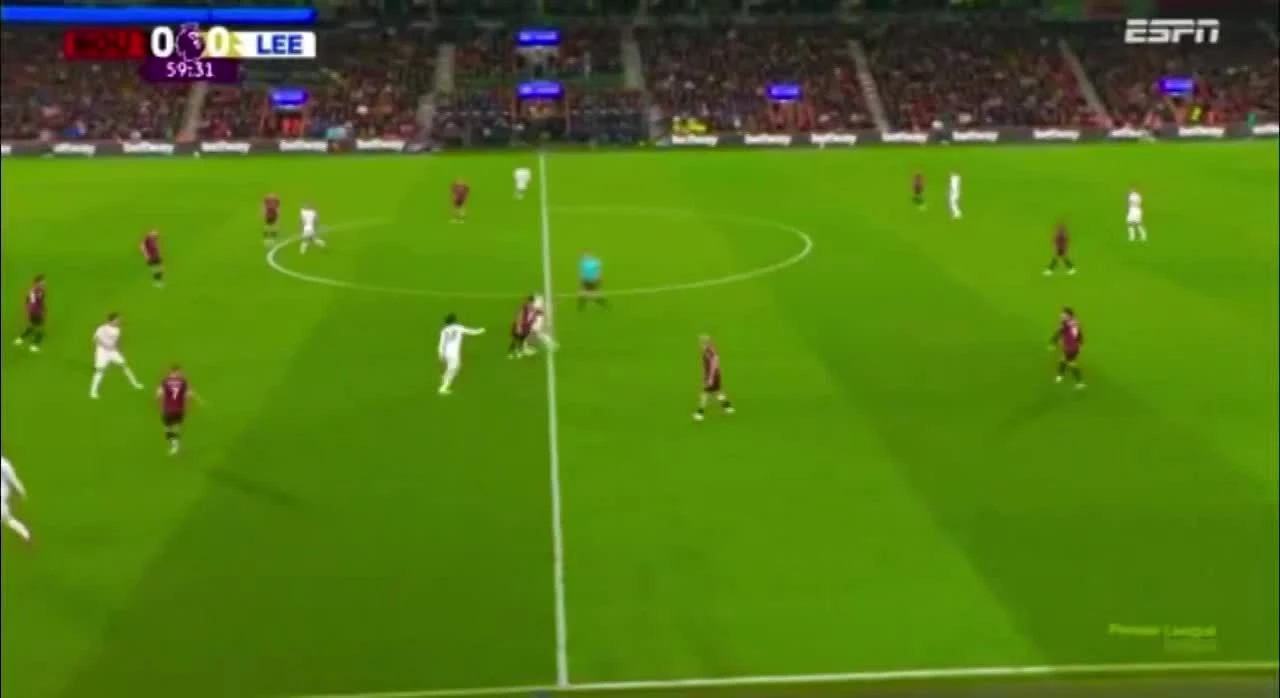 zaslepka skrotu video