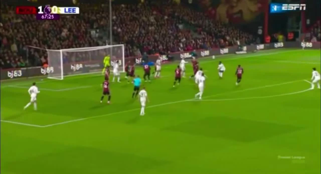 zaslepka skrotu video