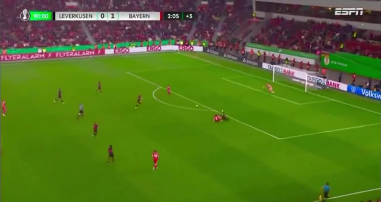 zaslepka skrotu video