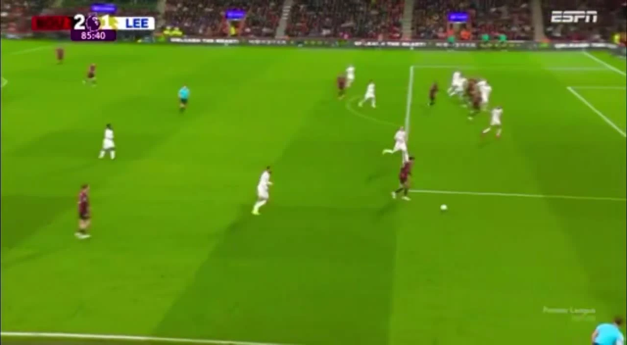 zaslepka skrotu video