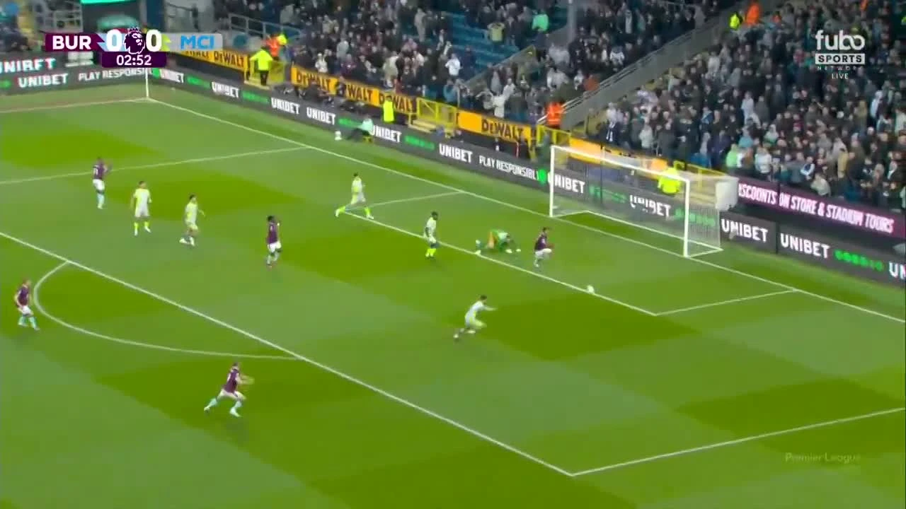 zaslepka skrotu video