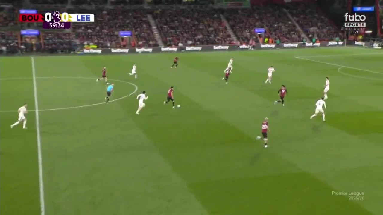 zaslepka skrotu video