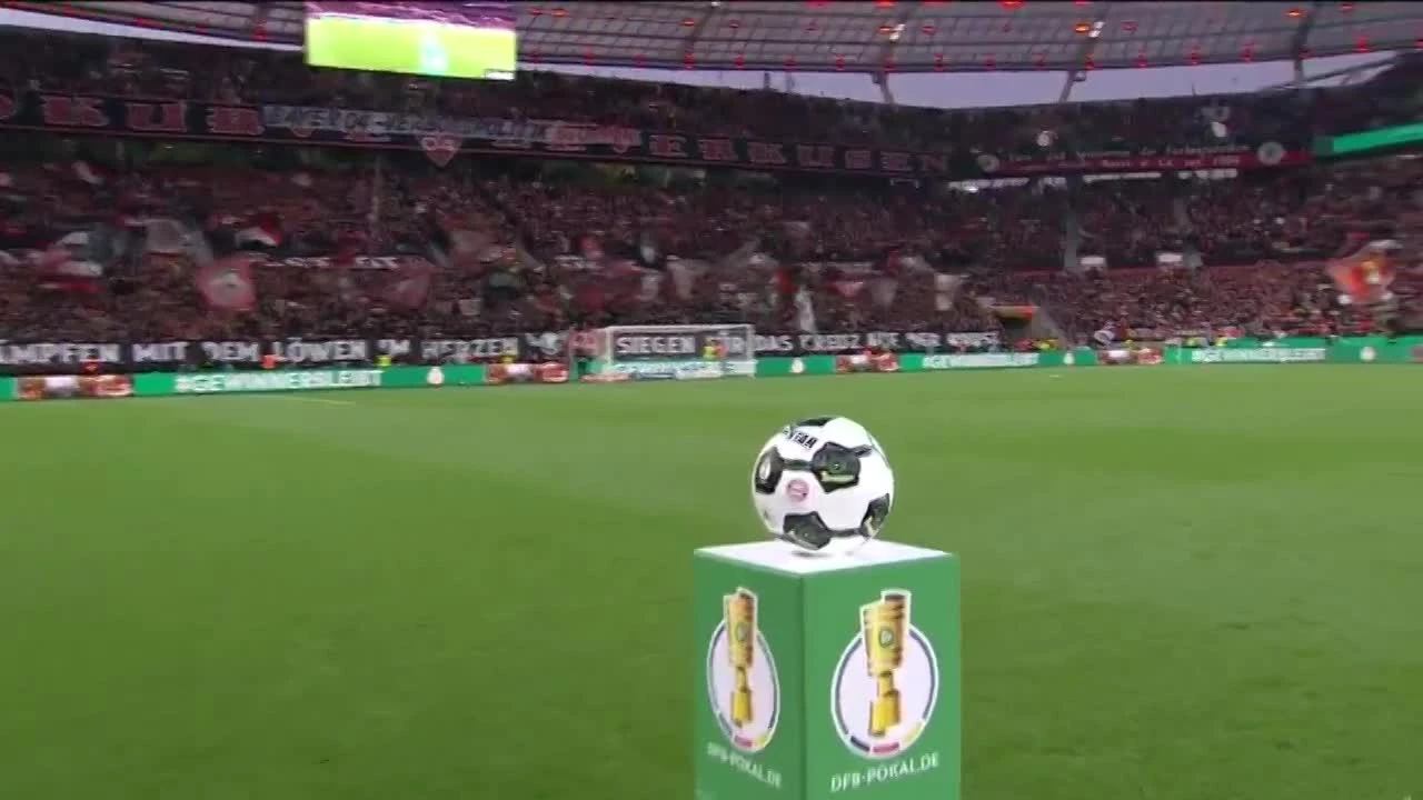 zaslepka skrotu video