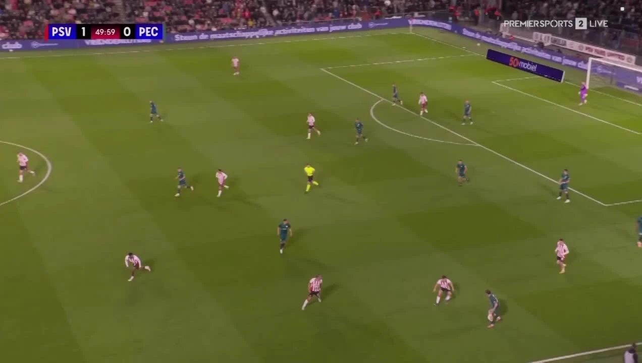 zaslepka skrotu video