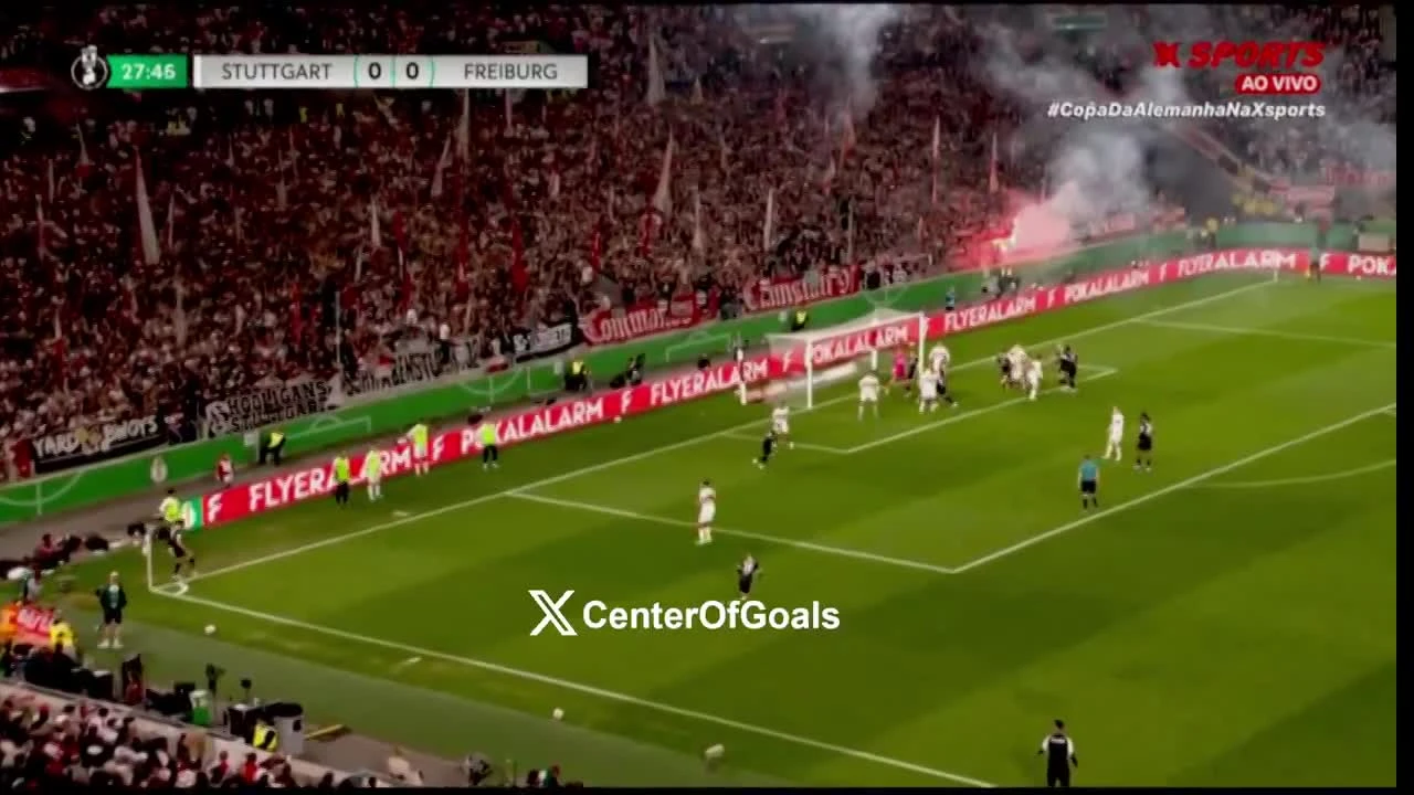 zaslepka skrotu video