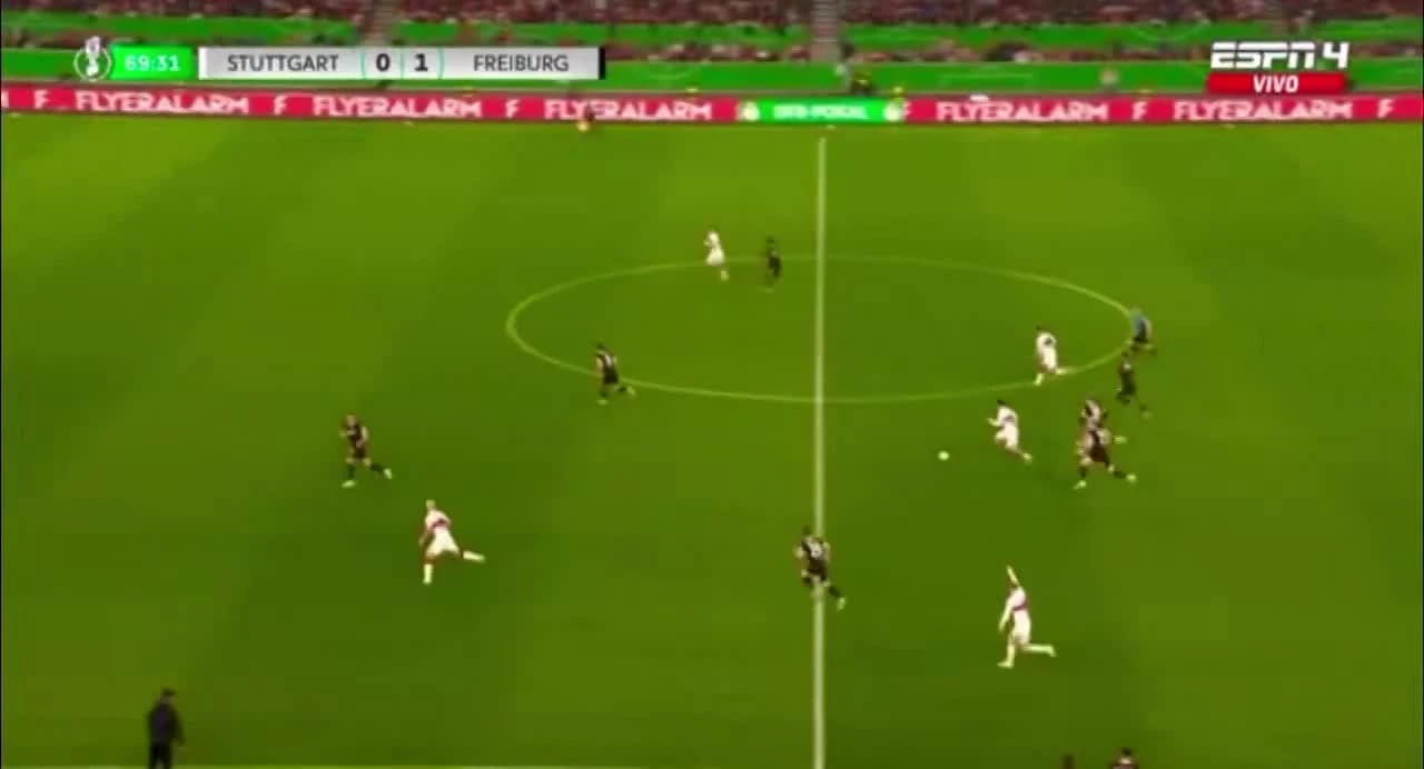 zaslepka skrotu video