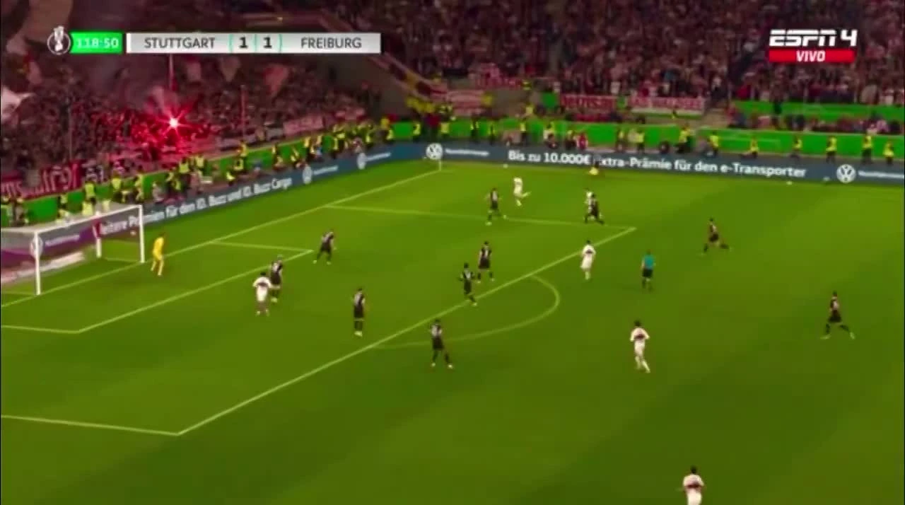 zaslepka skrotu video