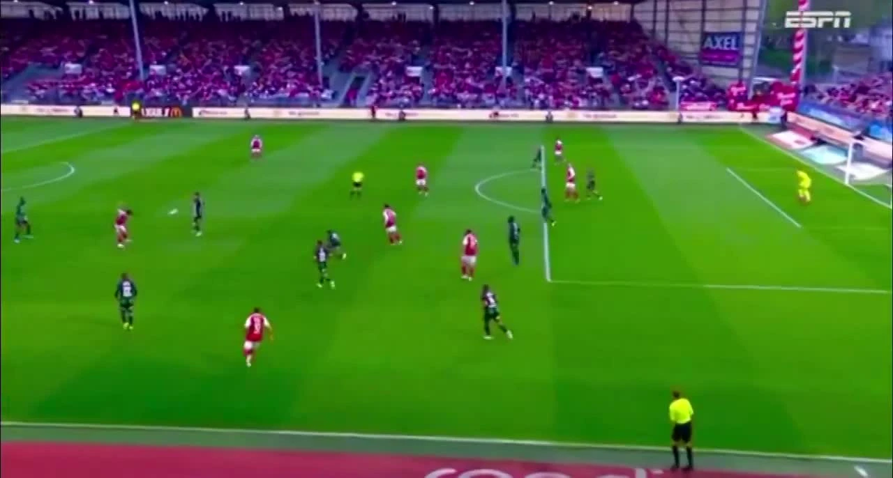 zaslepka skrotu video