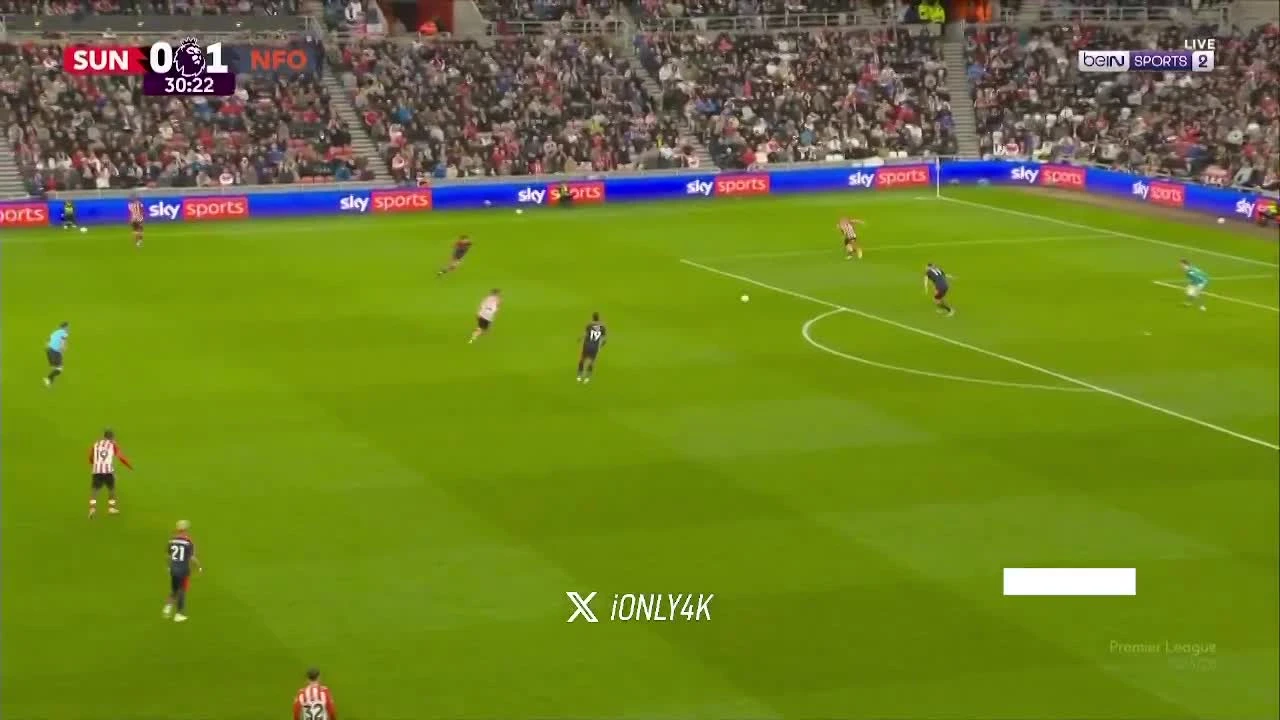 zaslepka skrotu video