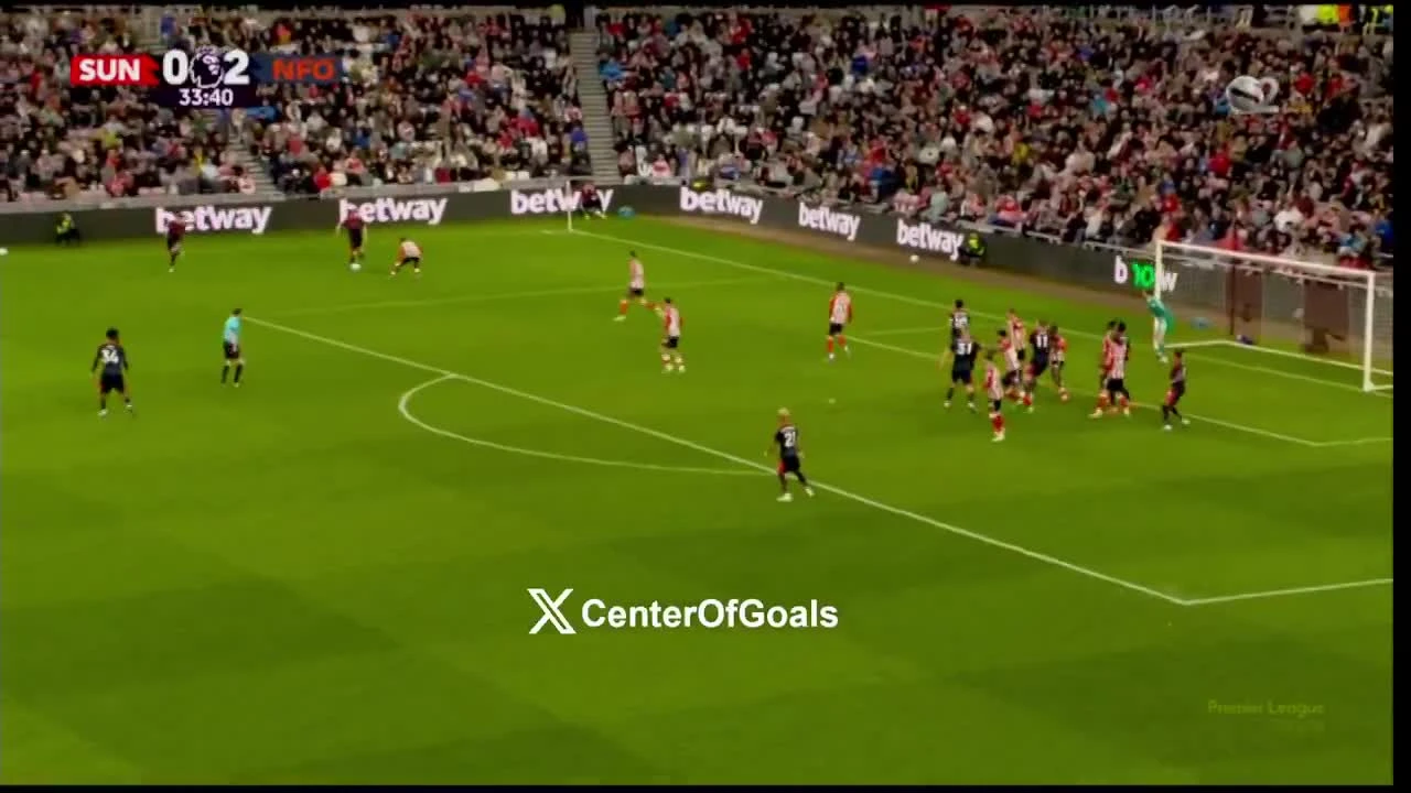 zaslepka skrotu video