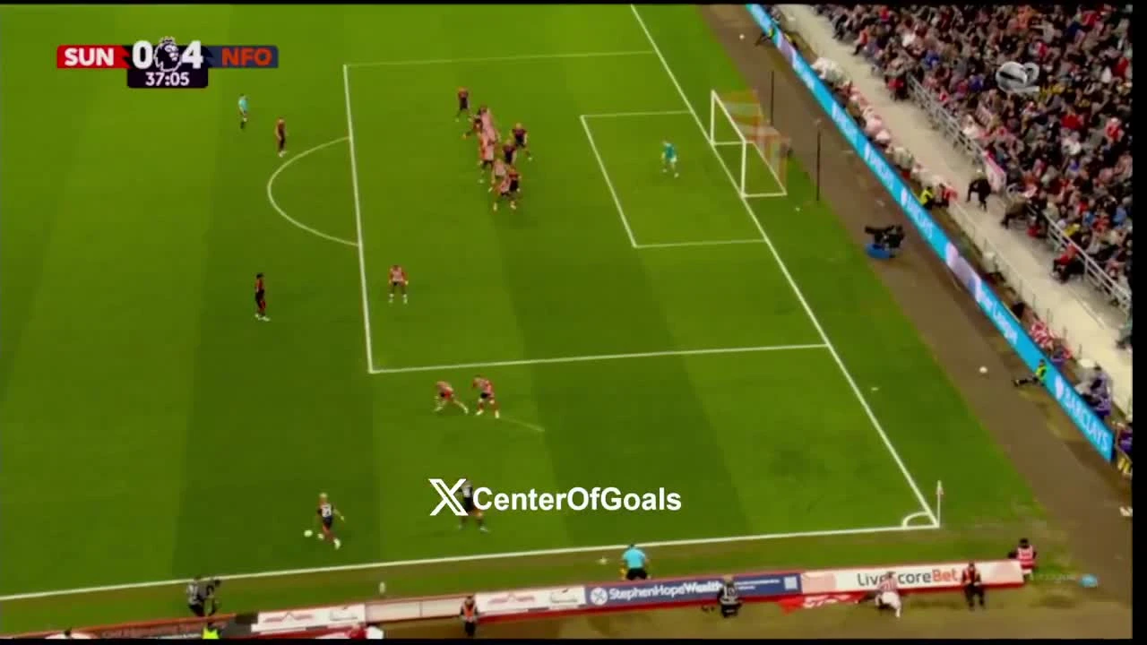 zaslepka skrotu video