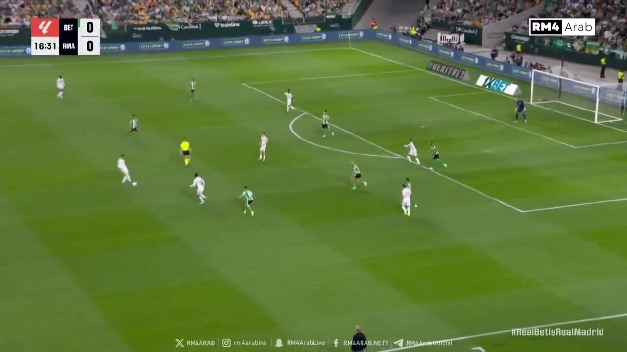 zaslepka skrotu video