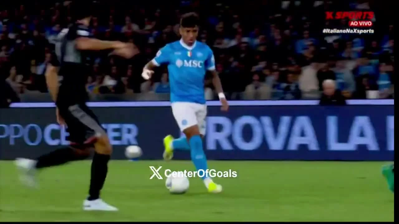 zaslepka skrotu video