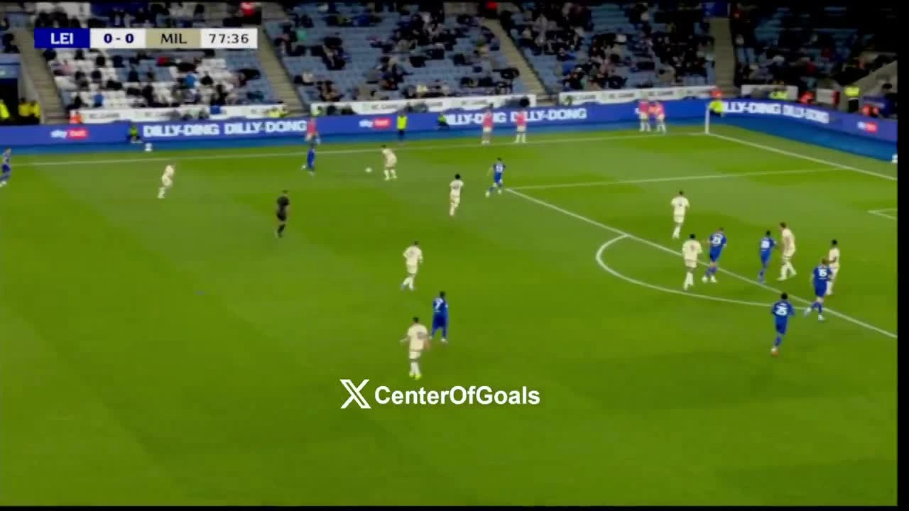 zaslepka skrotu video