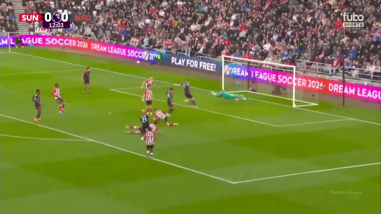 zaslepka skrotu video