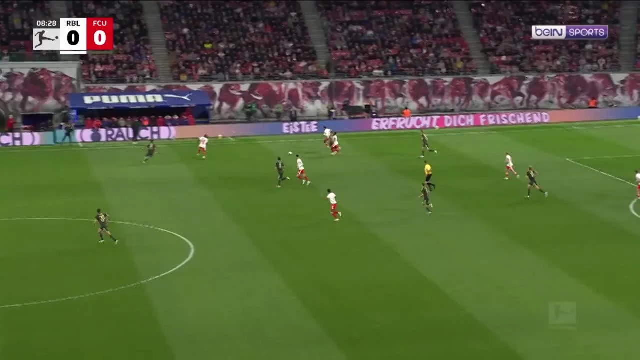 zaslepka skrotu video