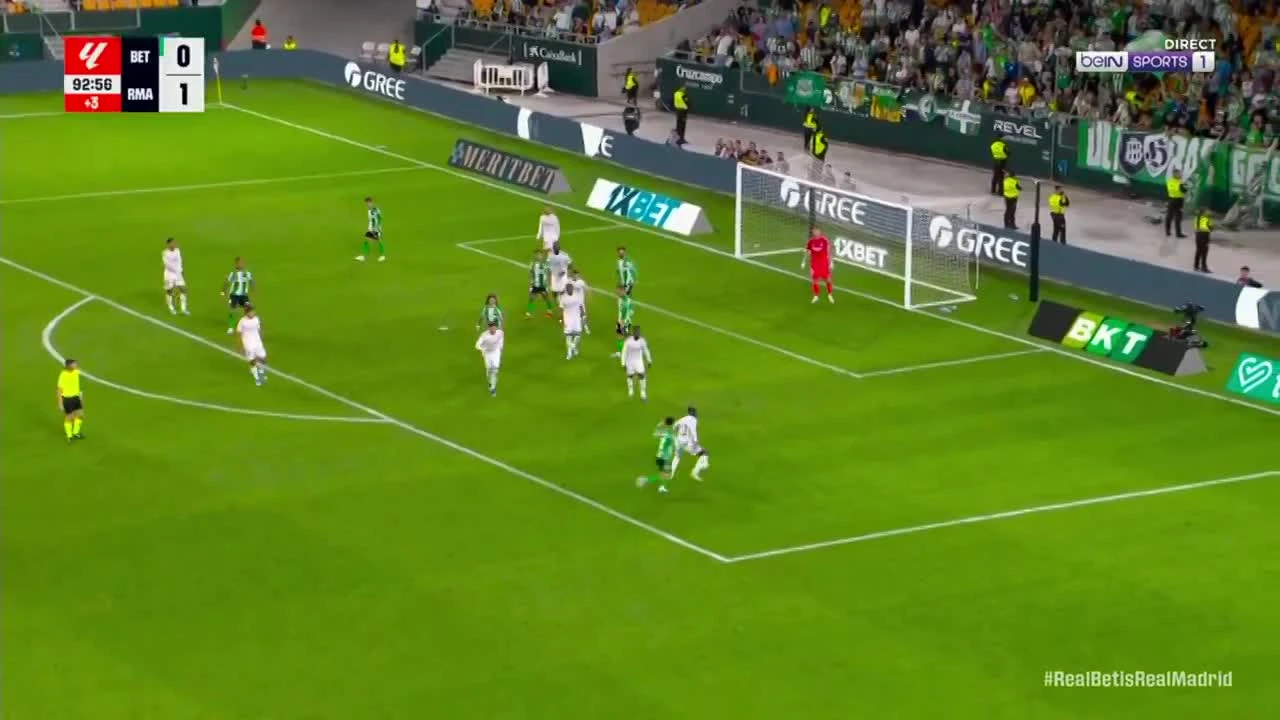 zaslepka skrotu video