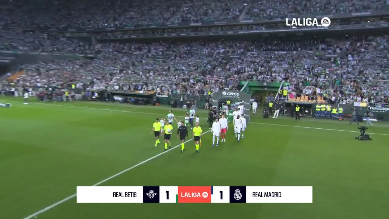 zaslepka skrotu video