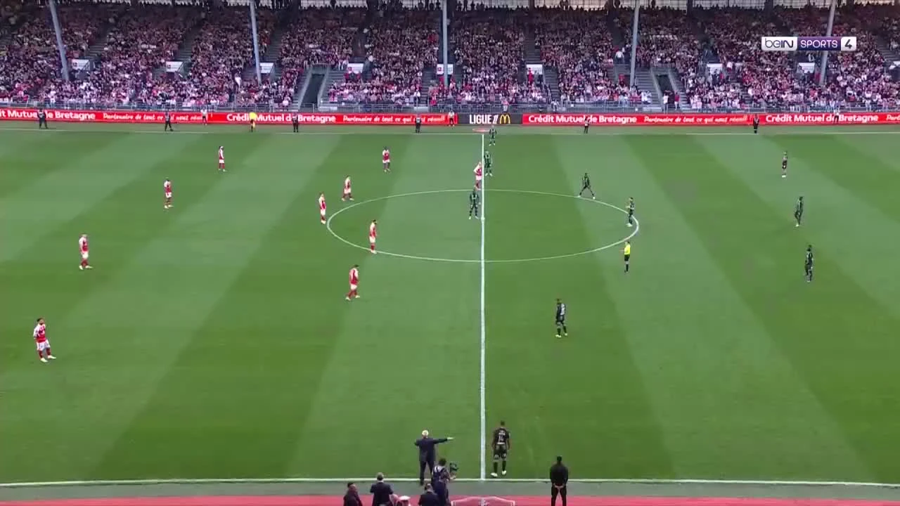 zaslepka skrotu video