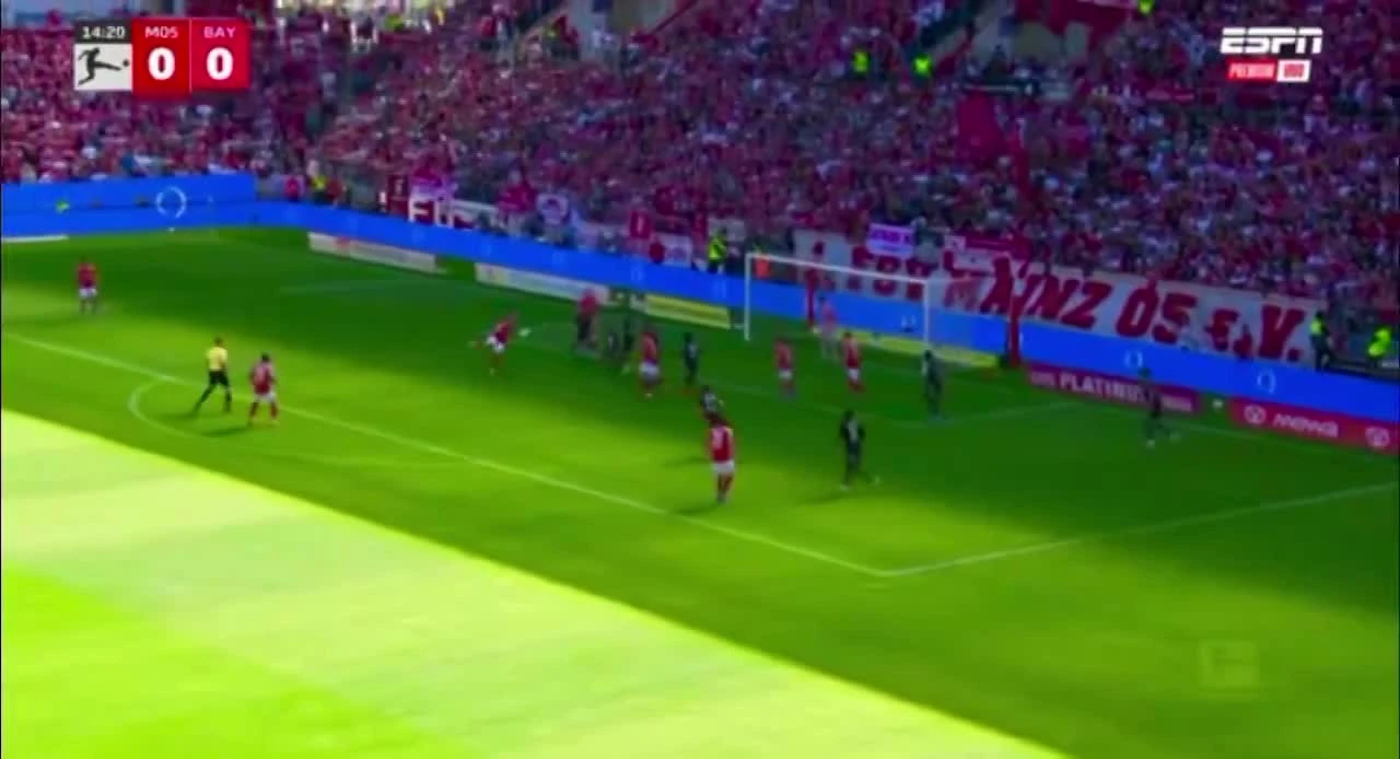 zaslepka skrotu video