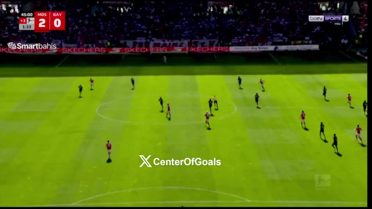 zaslepka skrotu video