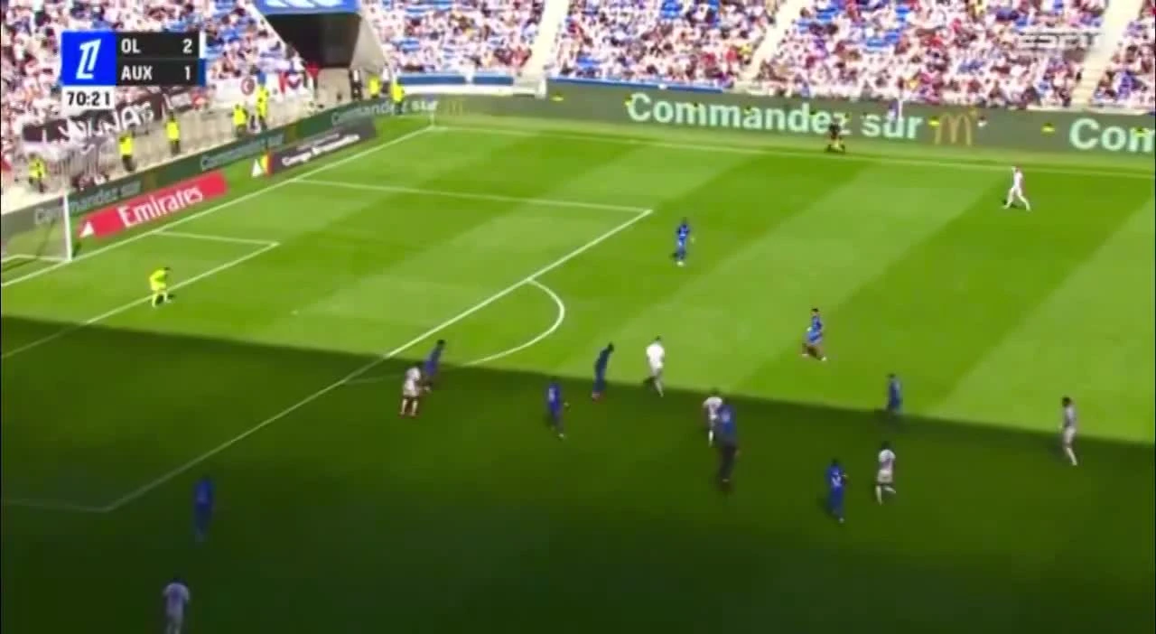 zaslepka skrotu video