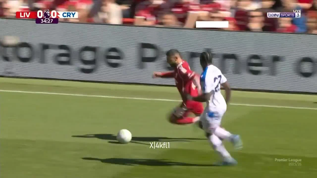 zaslepka skrotu video