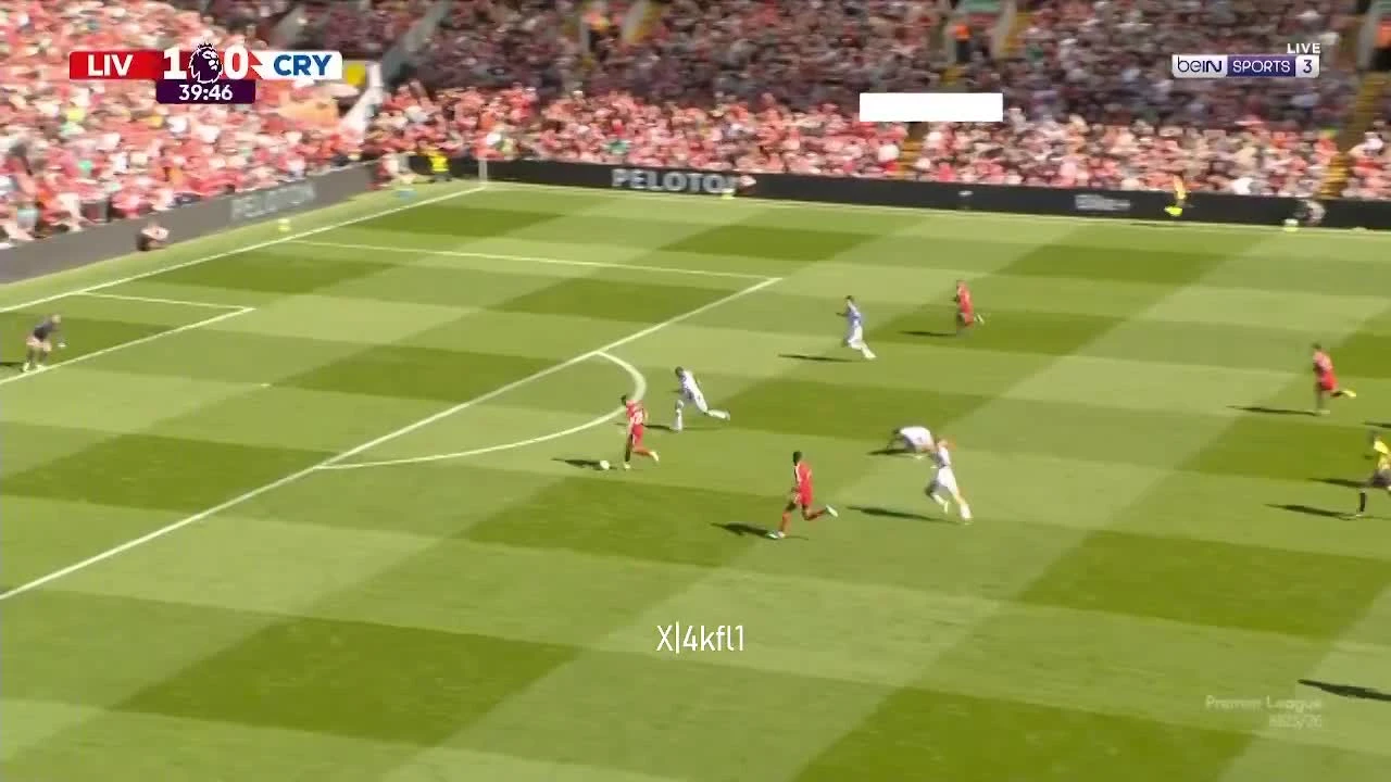 zaslepka skrotu video