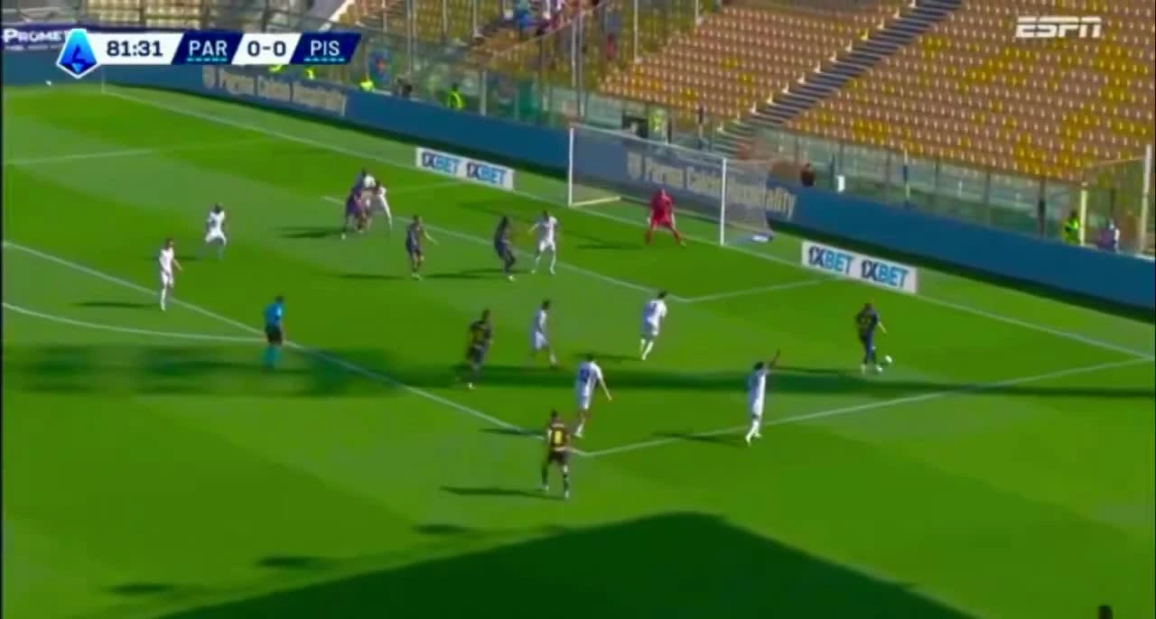 zaslepka skrotu video