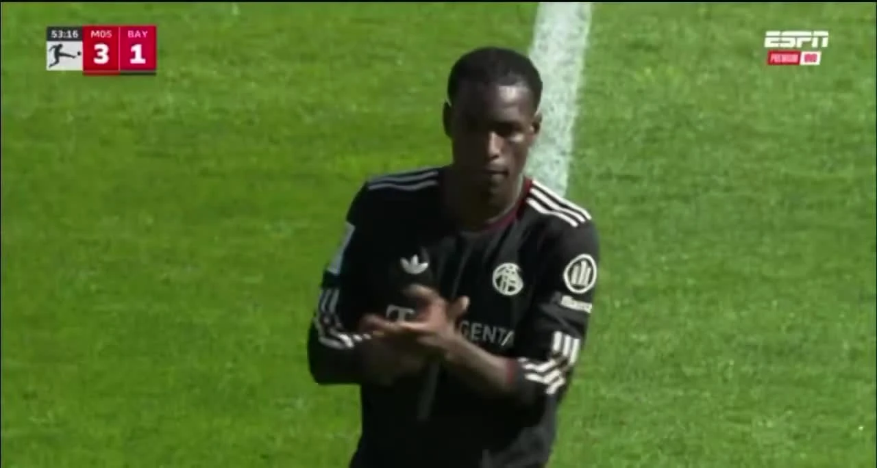 zaslepka skrotu video