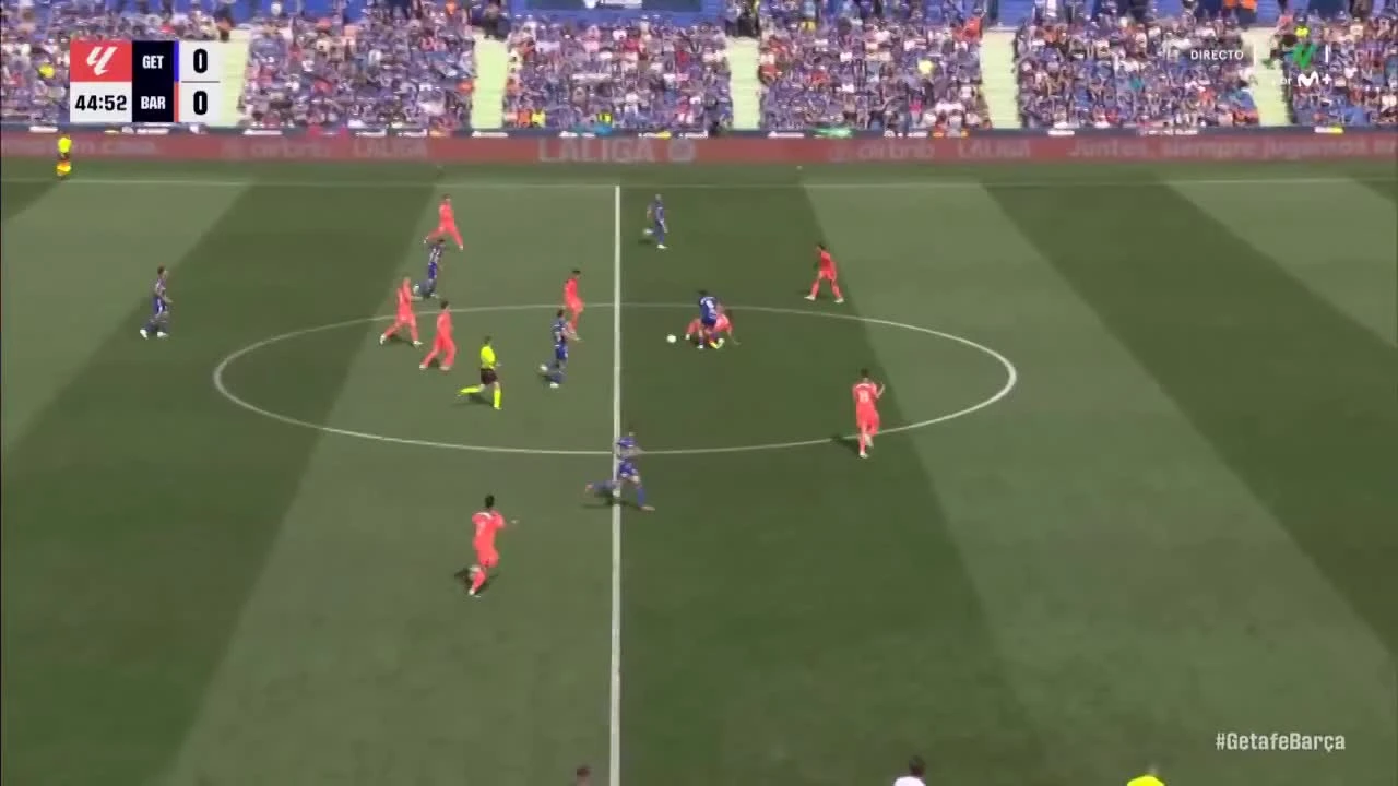 zaslepka skrotu video