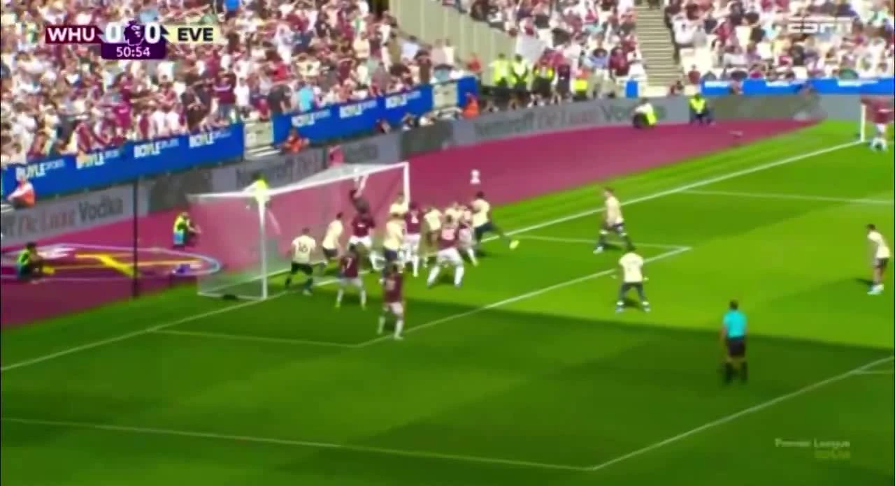 zaslepka skrotu video