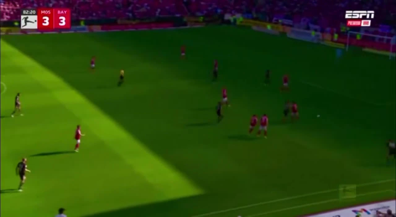 zaslepka skrotu video