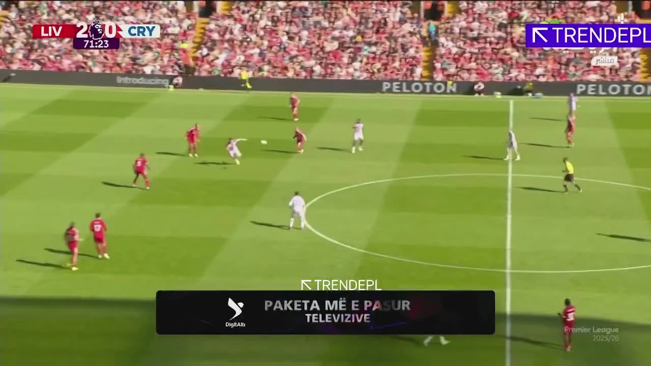 zaslepka skrotu video