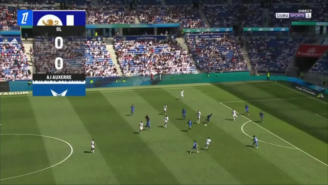 zaslepka skrotu video