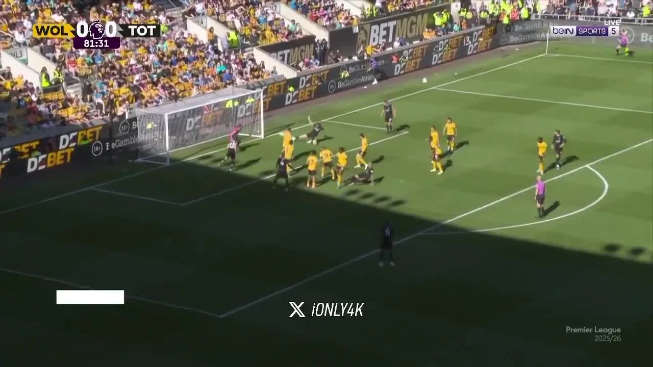 zaslepka skrotu video