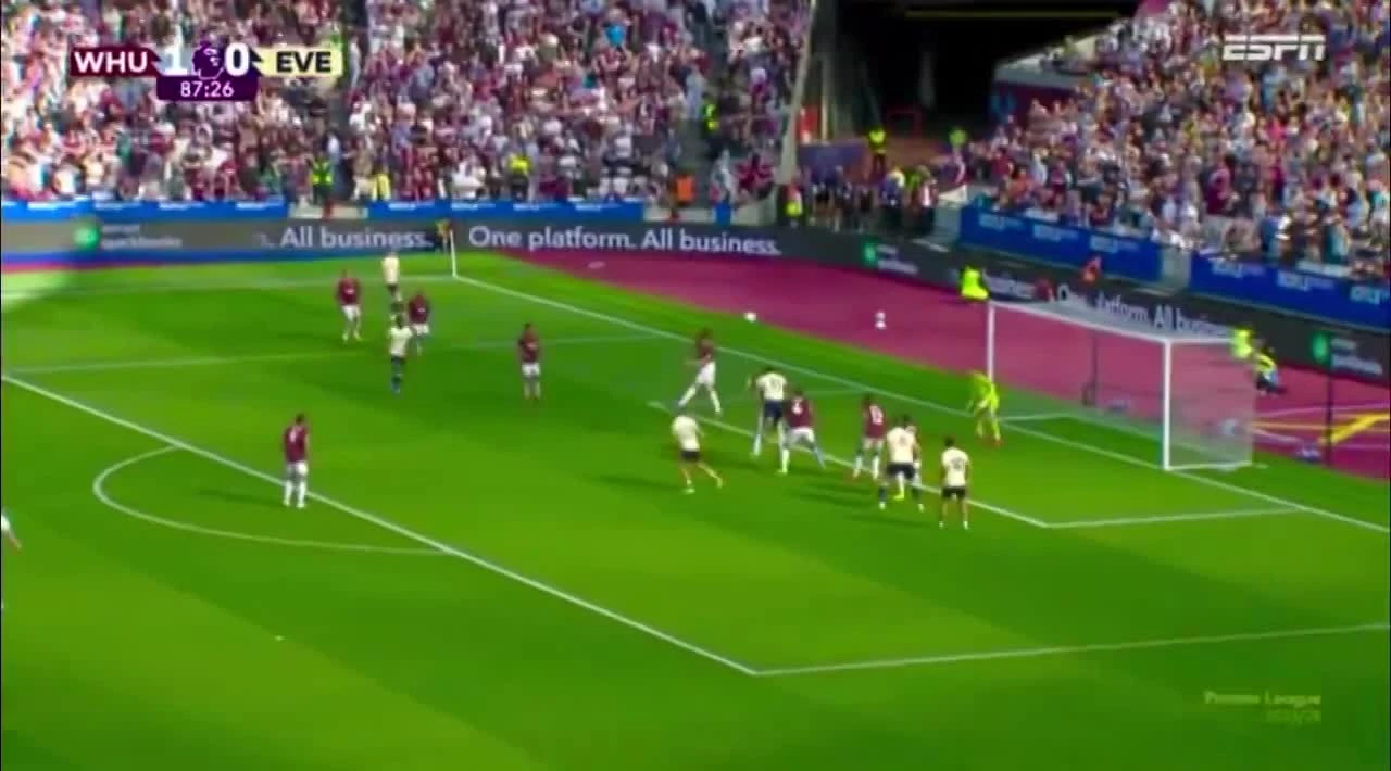 zaslepka skrotu video