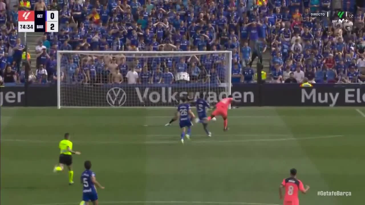 zaslepka skrotu video