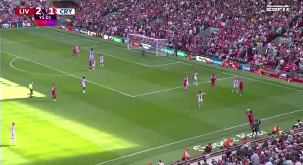 zaslepka skrotu video