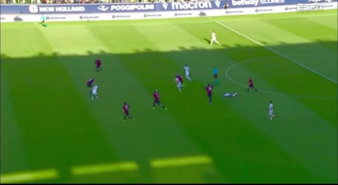 zaslepka skrotu video