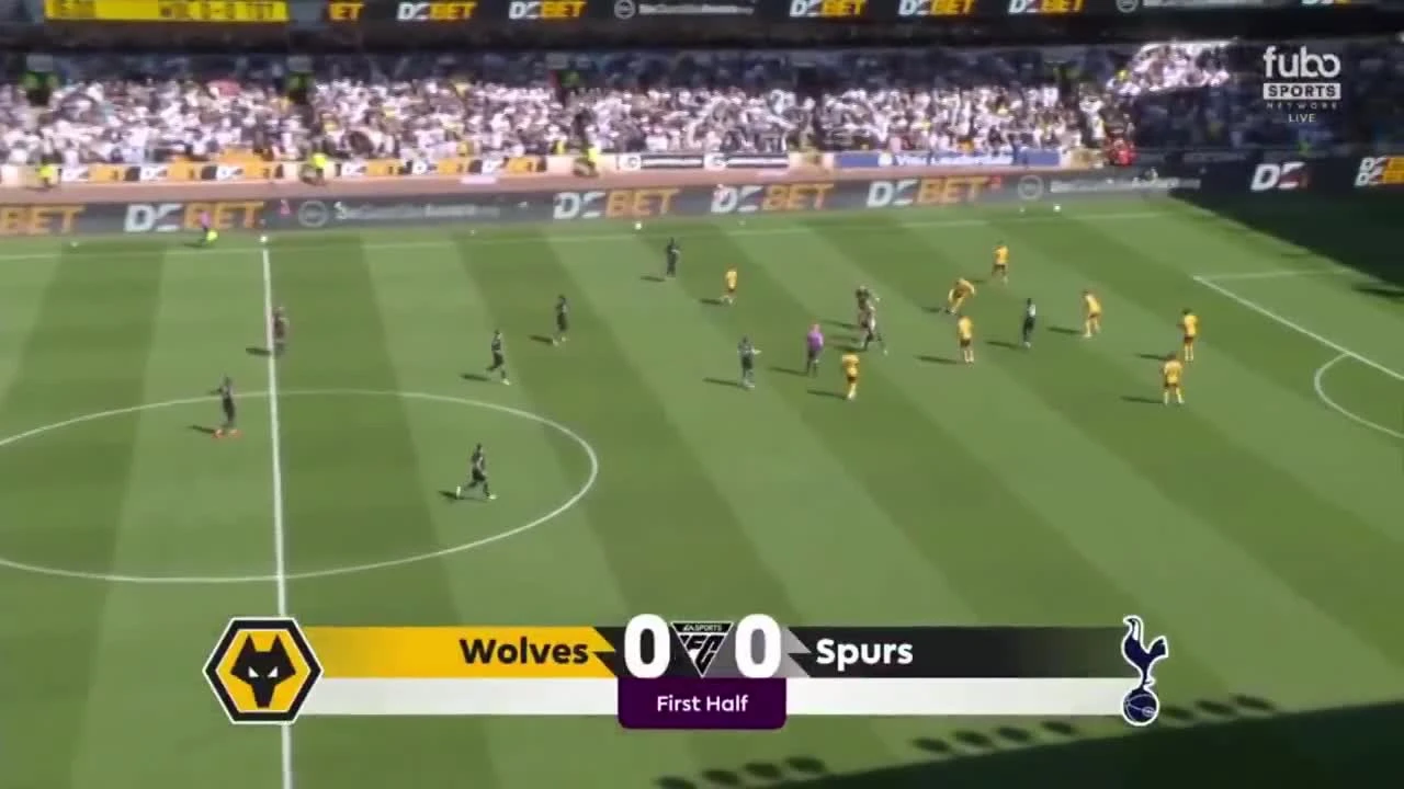 zaslepka skrotu video