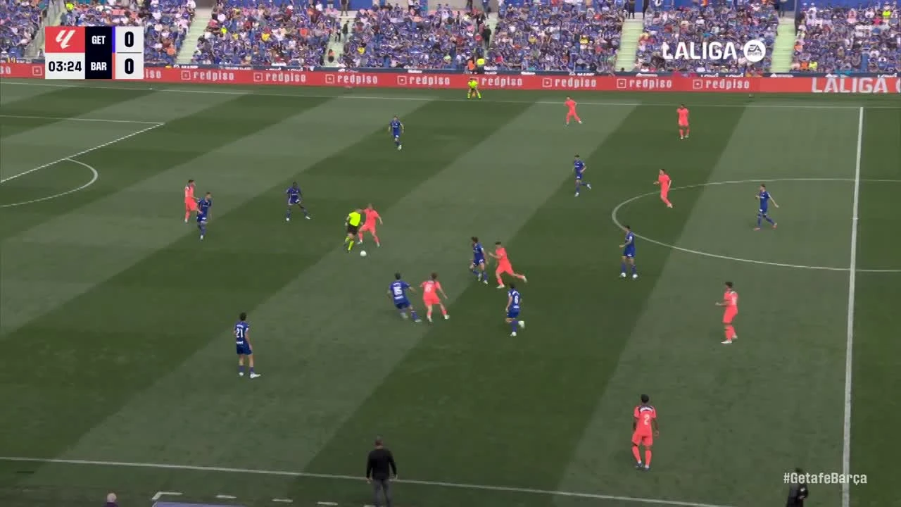 zaslepka skrotu video