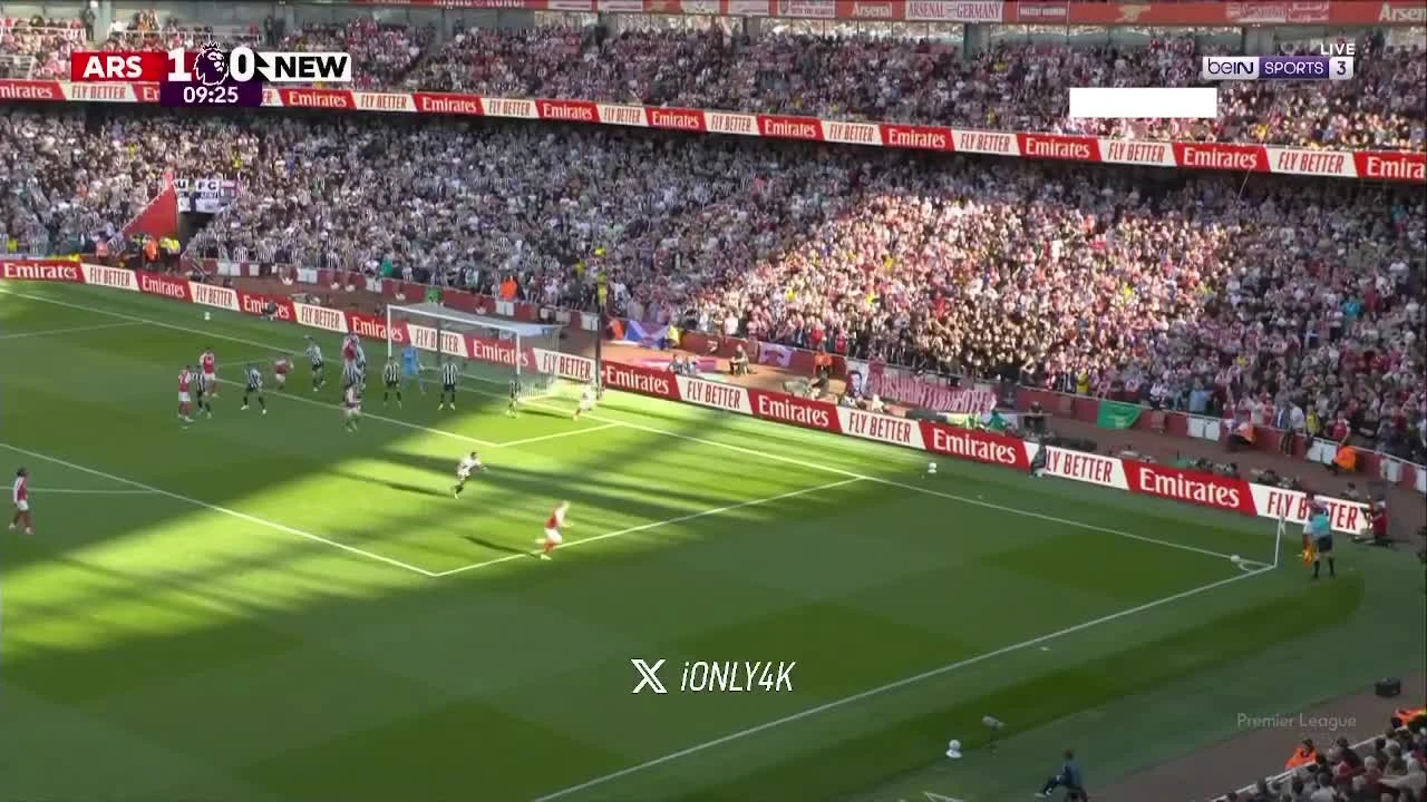 zaslepka skrotu video