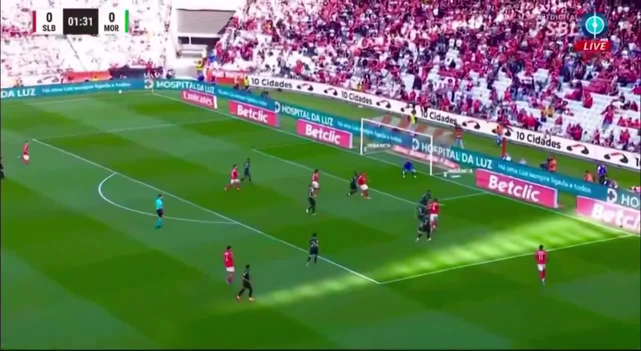 zaslepka skrotu video