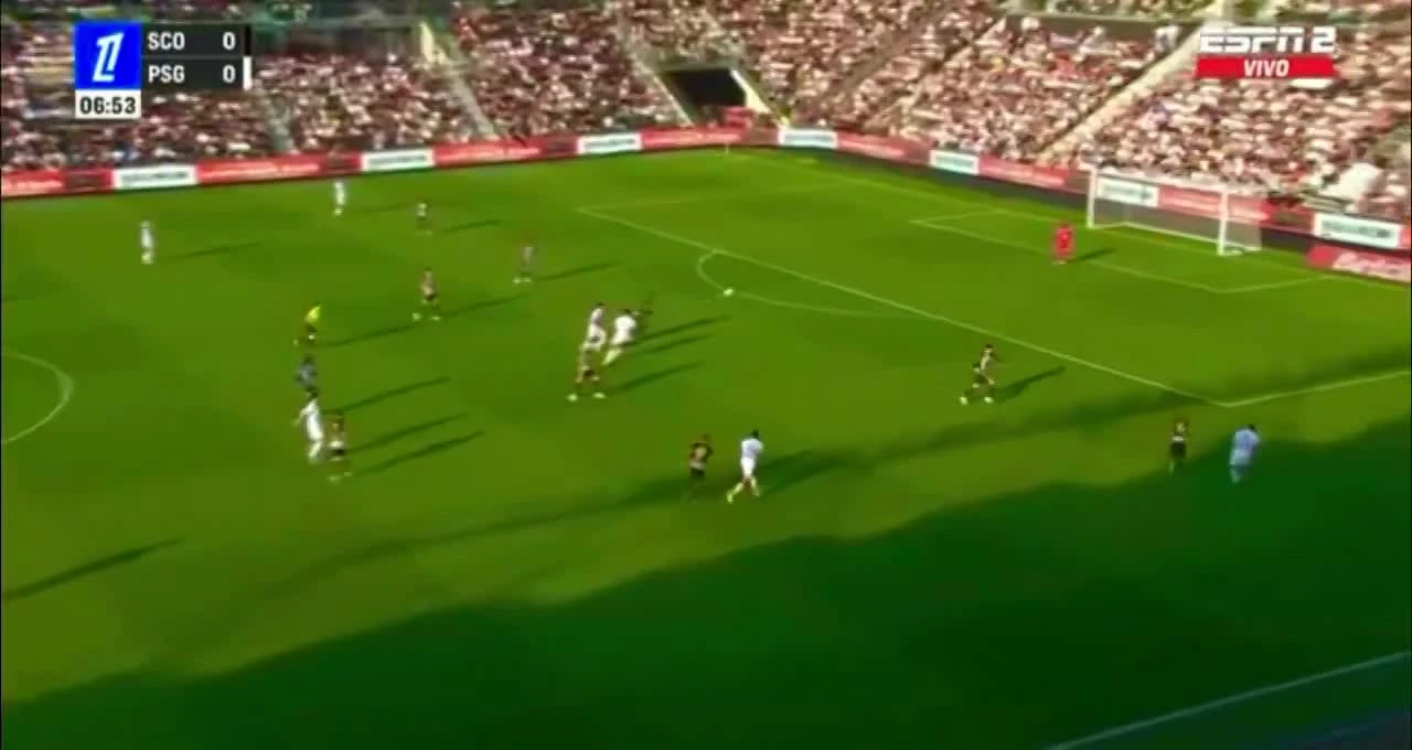 zaslepka skrotu video