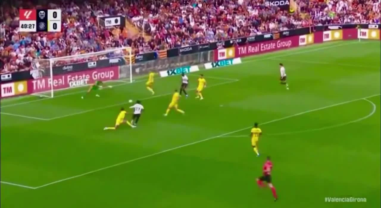 zaslepka skrotu video