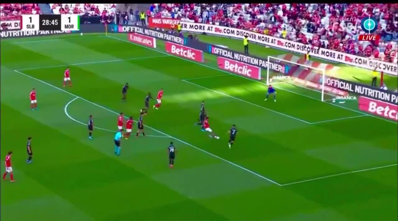 zaslepka skrotu video