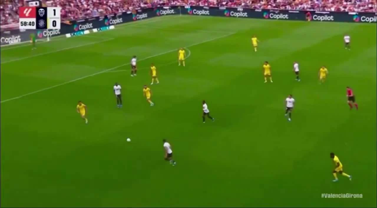 zaslepka skrotu video