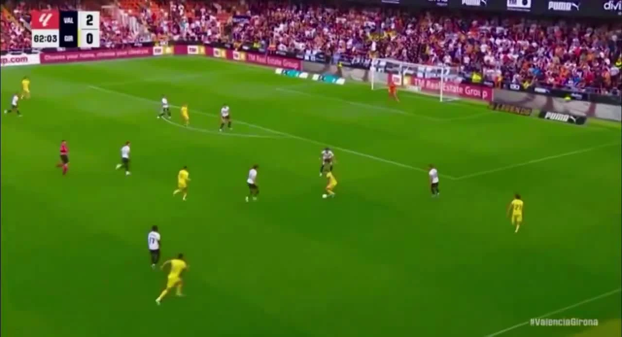 zaslepka skrotu video