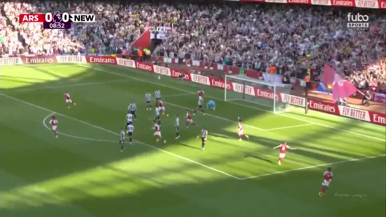 zaslepka skrotu video